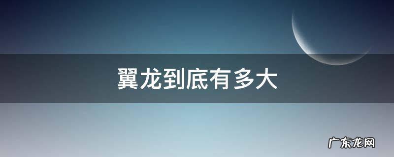 翼龙有多长 翼龙到底有多大