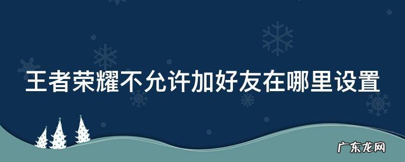 王者荣耀不允许加好友在哪里设置 王者荣耀里不允许添加好友在哪里设置