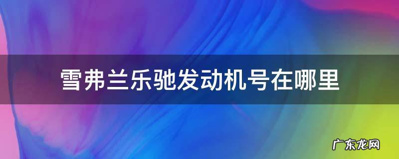 雪佛兰乐骋发动机号在哪里 雪弗兰乐驰发动机号在哪里