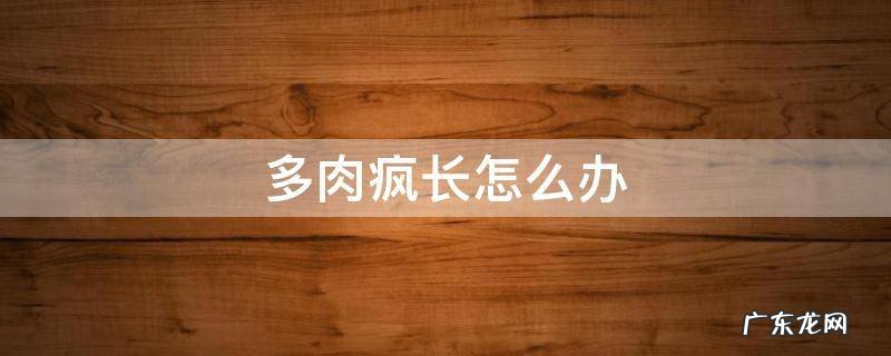 多肉疯长怎么办 多肉疯长怎样处理