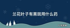 兰花有黑叶有黑斑,要喷什么药 兰花叶子有黑斑用什么药