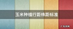 玉米种植的株行距 玉米种植行距株距标准