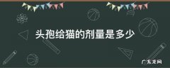 头孢给猫的剂量是多少 给猫咪注射头孢多大剂量