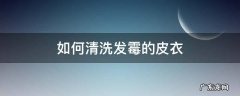 如何清洗发霉的皮衣 皮衣生霉怎么办清洗