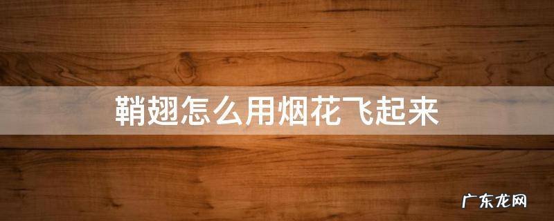 手机版鞘翅怎么用烟花飞起来 鞘翅怎么用烟花飞起来