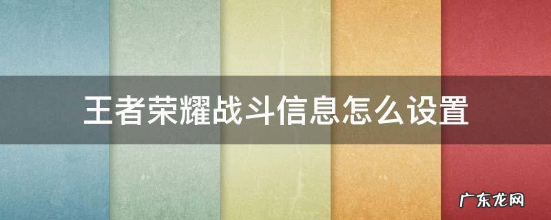 王者荣耀战斗信息怎么设置 王者荣耀战斗信息怎么设置别人没权限看