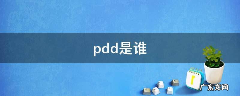 pdd是谁 pdd是什么意思