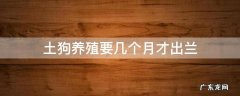 土狗要养多久才可以出货 土狗养殖要几个月才出兰