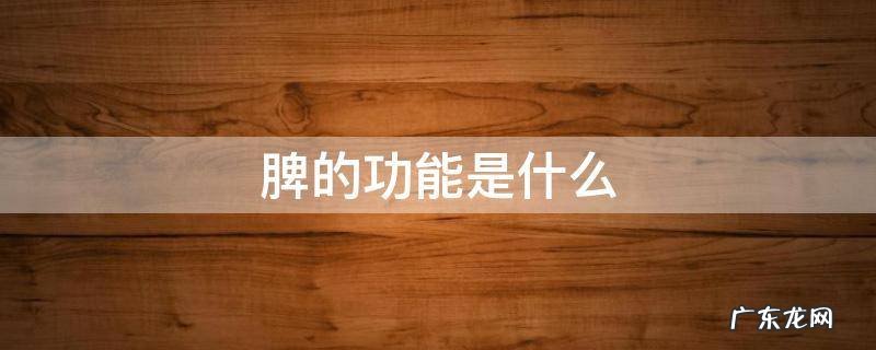 脾的功能是什么 中医说脾的功能是什么