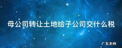 母公司转让土地给子公司交什么税 母公司转让土地给子公司交什么税