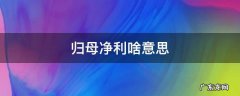 归母净利率什么意思 归母净利啥意思