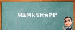 属狗男和属鼠女好吗 男属狗女属鼠合适吗