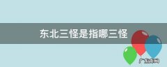 东北三怪是指哪三怪 东北三大怪还是四大怪