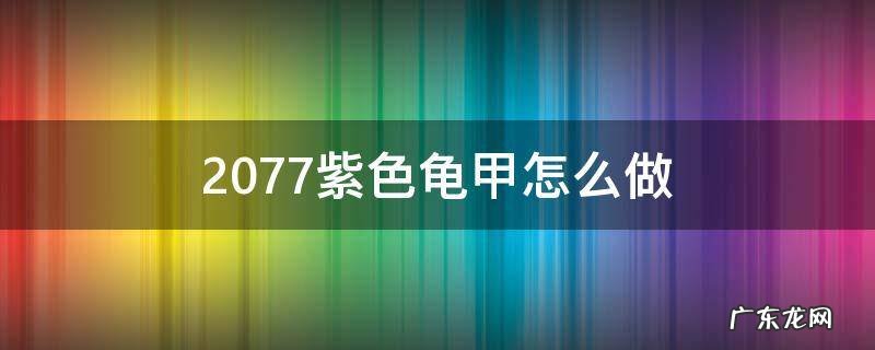 2077龟壳怎么制作紫色的 2077紫色龟甲怎么做