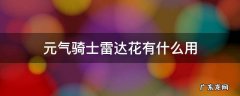 元气骑士雷达花有什么用雷达花作用介绍 元气骑士雷达花有什么用