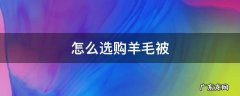 羊毛被怎样 怎么选购羊毛被
