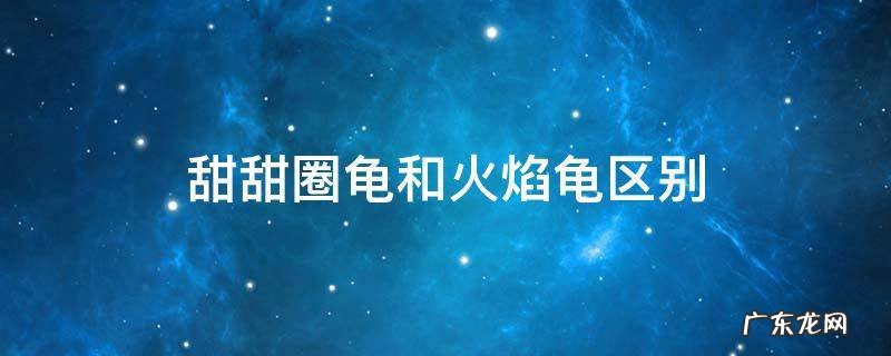 火焰龟和甜甜圈的区别 甜甜圈龟和火焰龟区别