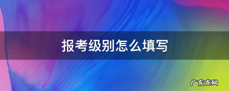 申报级别怎么填写 报考级别怎么填写