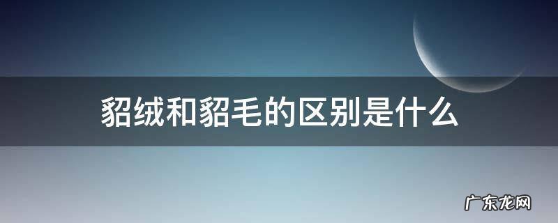 貂绒与貂的区别 貂绒和貂毛的区别是什么