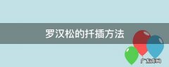 罗汉松的扦插方法 罗汉松的扦插方法图解