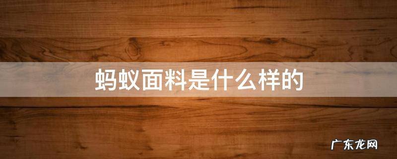 蚂蚁布料是什么样子的,图片 蚂蚁面料是什么样的