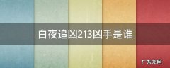 白夜追凶2.13凶手是谁 白夜追凶第二案凶手