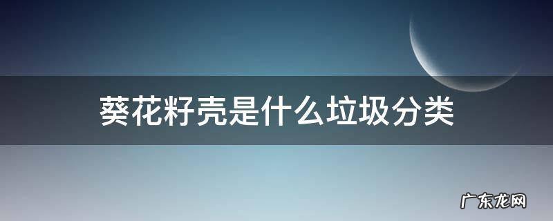 葵花籽壳是什么垃圾分类 葵花籽壳属于什么垃圾分类