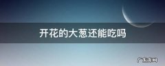 大葱开花还能吃吗? 开花的大葱还能吃吗