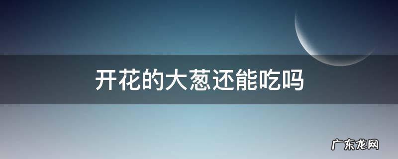 大葱开花还能吃吗? 开花的大葱还能吃吗