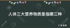 人体三大营养物质是指哪三种 三大营养物质通常是指什么