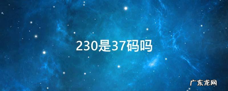 230是37码吗 阿迪230是37码吗