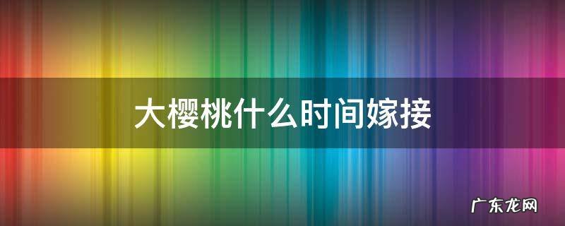 樱桃什么时候嫁接 大樱桃什么时间嫁接