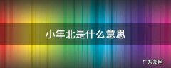 小年北是什么意思 小年北是什么意思三年级下册语文守株待兔视频