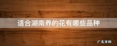 适合湖南养的花有哪些品种 湖南适合养什么花