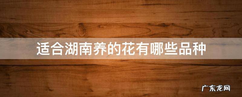 适合湖南养的花有哪些品种 湖南适合养什么花