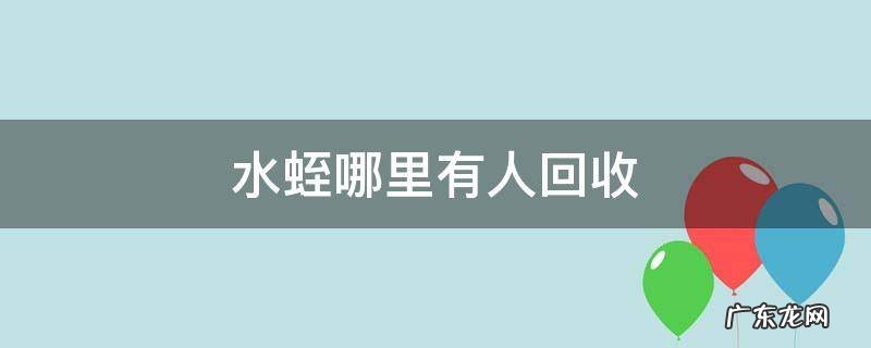 水蛭哪里有人回收 哪里有收水蛭的