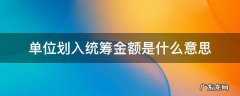 单位划入统筹金额是什么意思 单位划入统筹金额是什么意思呀,医保