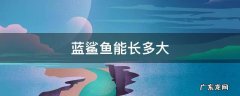 蓝鲨鱼能长多大 蓝鲨鱼能长多大?