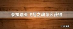 泰拉瑞亚飞翔之魂怎么获得 泰拉瑞亚飞翔之魂怎么弄?