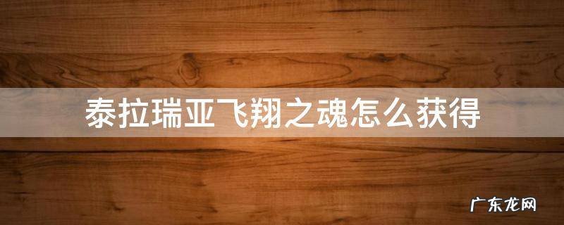 泰拉瑞亚飞翔之魂怎么获得 泰拉瑞亚飞翔之魂怎么弄?