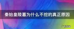 秦始皇陵墓为什么不挖的真正原因 秦始皇陵墓为什么不挖的真正原因视频