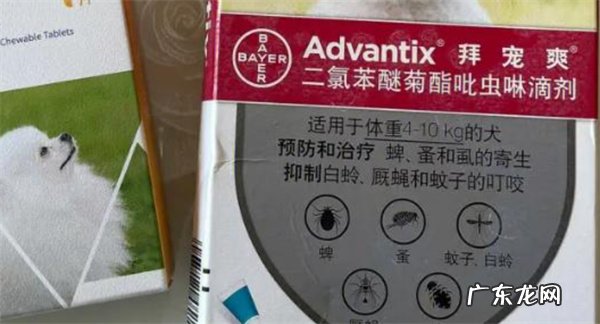 狗狗驱虫药的副作用 狗狗驱虫药需要空腹吃吗