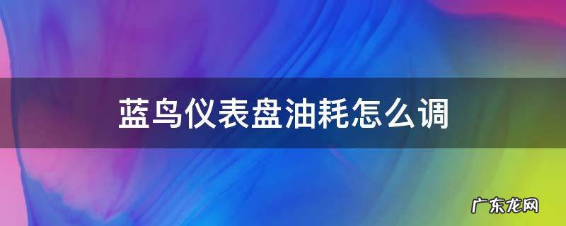 蓝鸟仪表盘油耗怎么调 蓝鸟仪表盘怎么看油耗