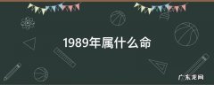 1989年属什么命