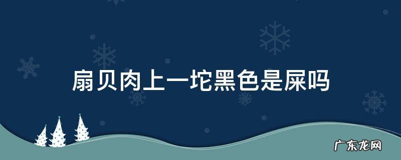 扇贝后面一团黑色的是屎还是肉 扇贝肉上一坨黑色是屎吗