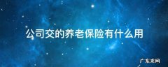公司交的养老保险有什么用 公司交的养老保险有啥用