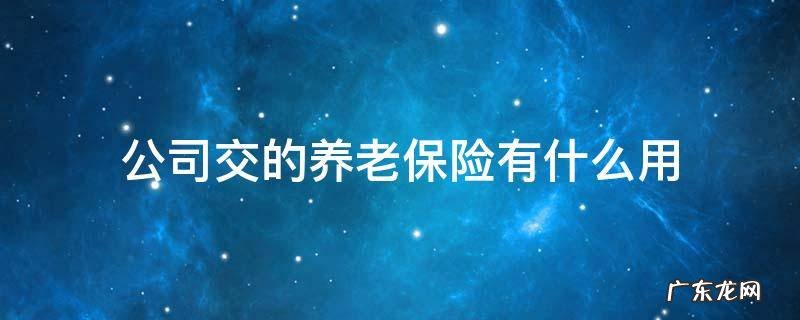 公司交的养老保险有什么用 公司交的养老保险有啥用