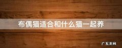 布偶猫适合和什么猫一起养 布偶猫可以和布偶猫配吗