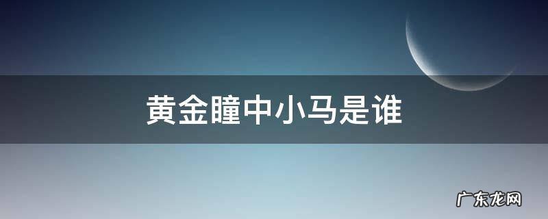 黄金瞳中小马到底是谁 黄金瞳中小马是谁
