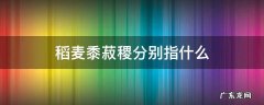 稻麦黍菽稷的意思 稻麦黍菽稷分别指什么